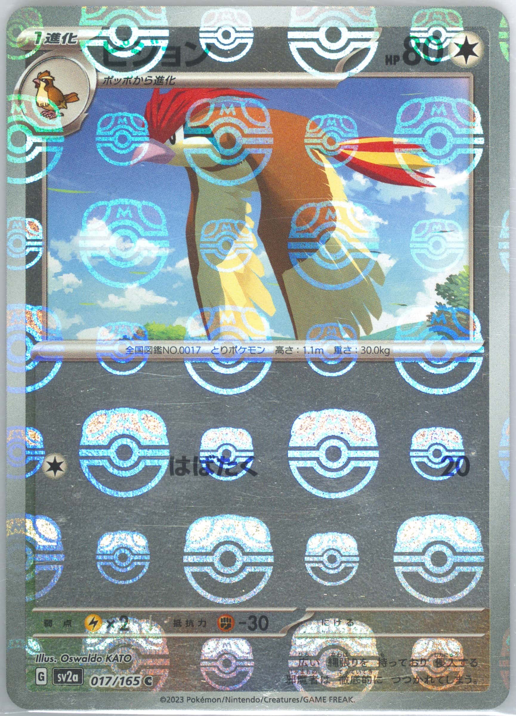 Pidgeotto (Master Ball Pattern) 017/165 card from SV2a: Pokemon Card 151