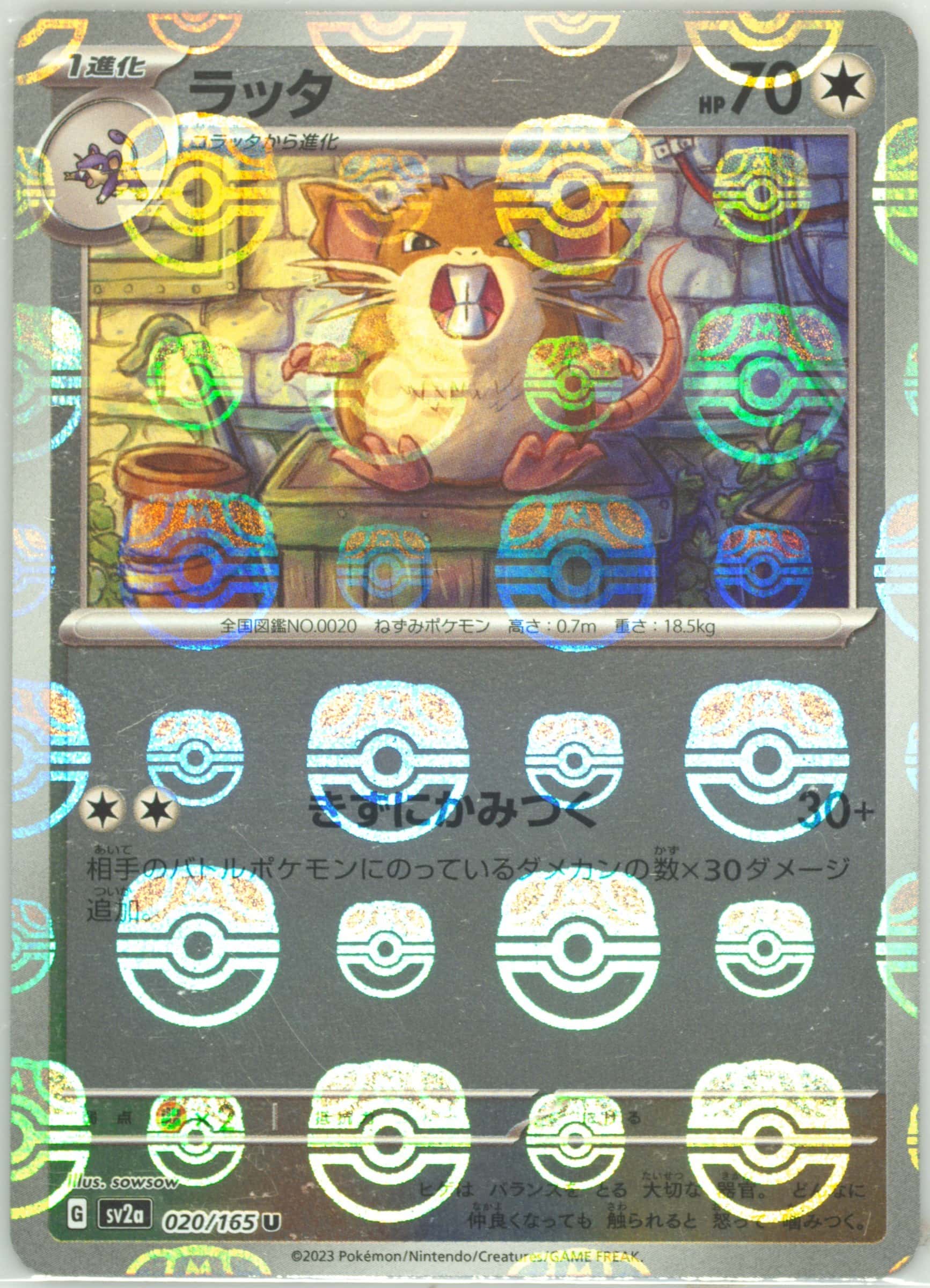 Raticate (Master Ball Pattern) 020/165 card from SV2a: Pokemon Card 151