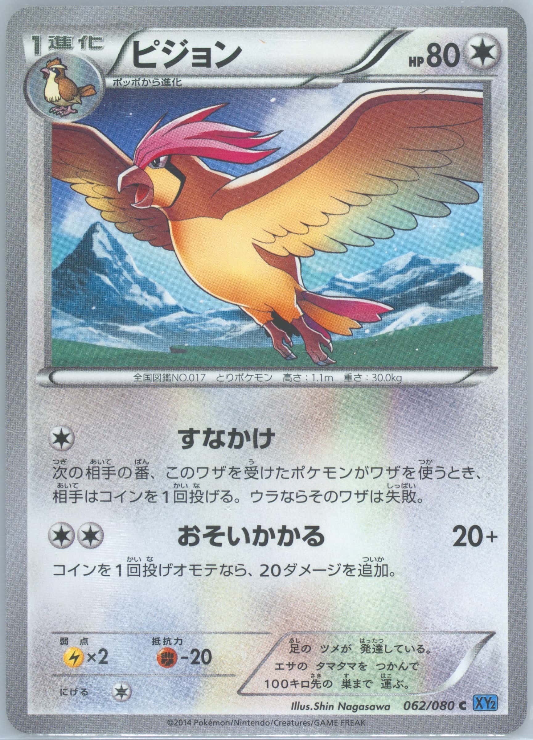 Pidgeotto 062/080 card from XY2: Wild Blaze