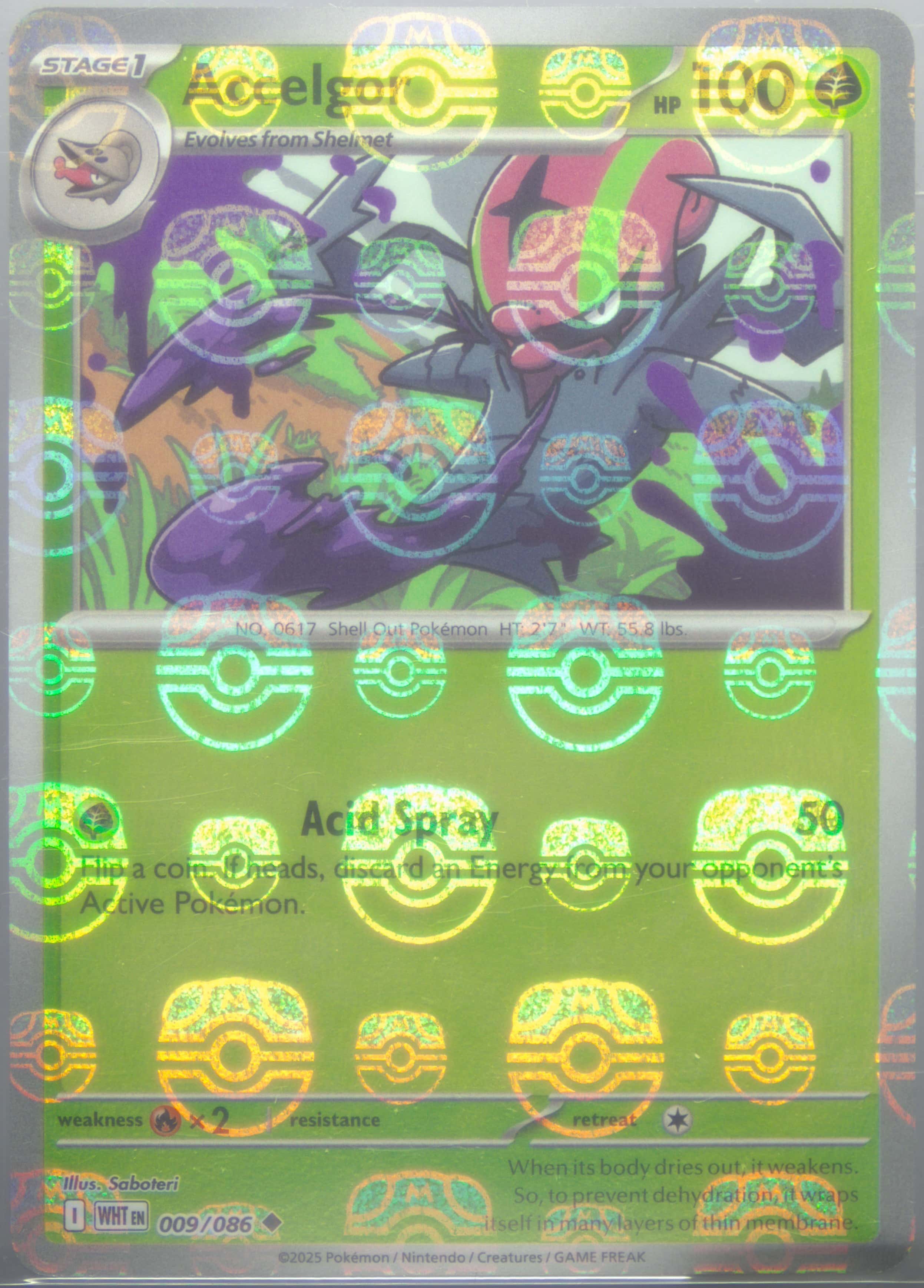 Accelgor (Master Ball Pattern) 009/086 card from SV: White Flare