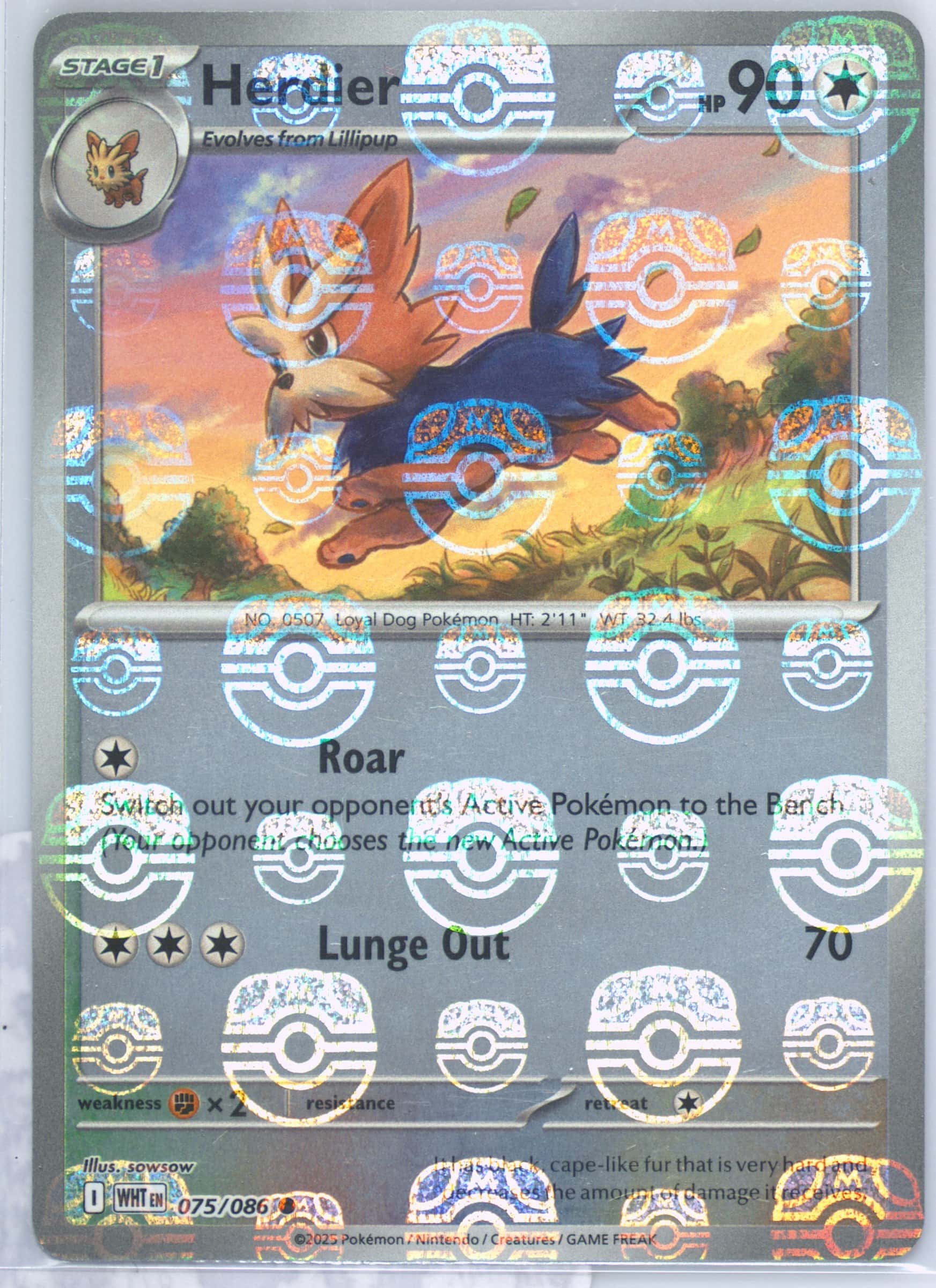 Herdier (Master Ball Pattern) 075/086 card from SV: White Flare