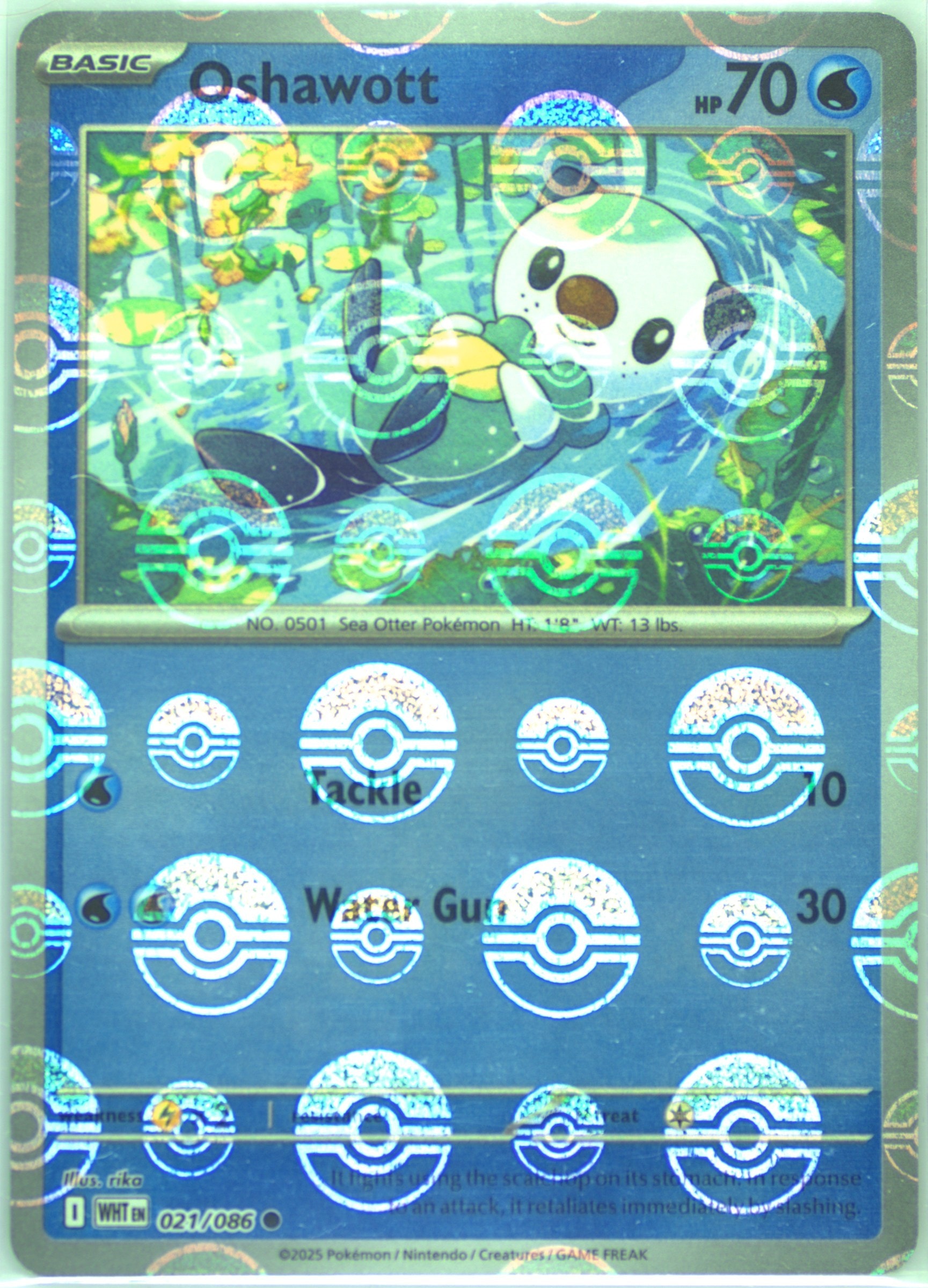 Oshawott (Poke Ball Pattern) 021/086 card from SV: White Flare