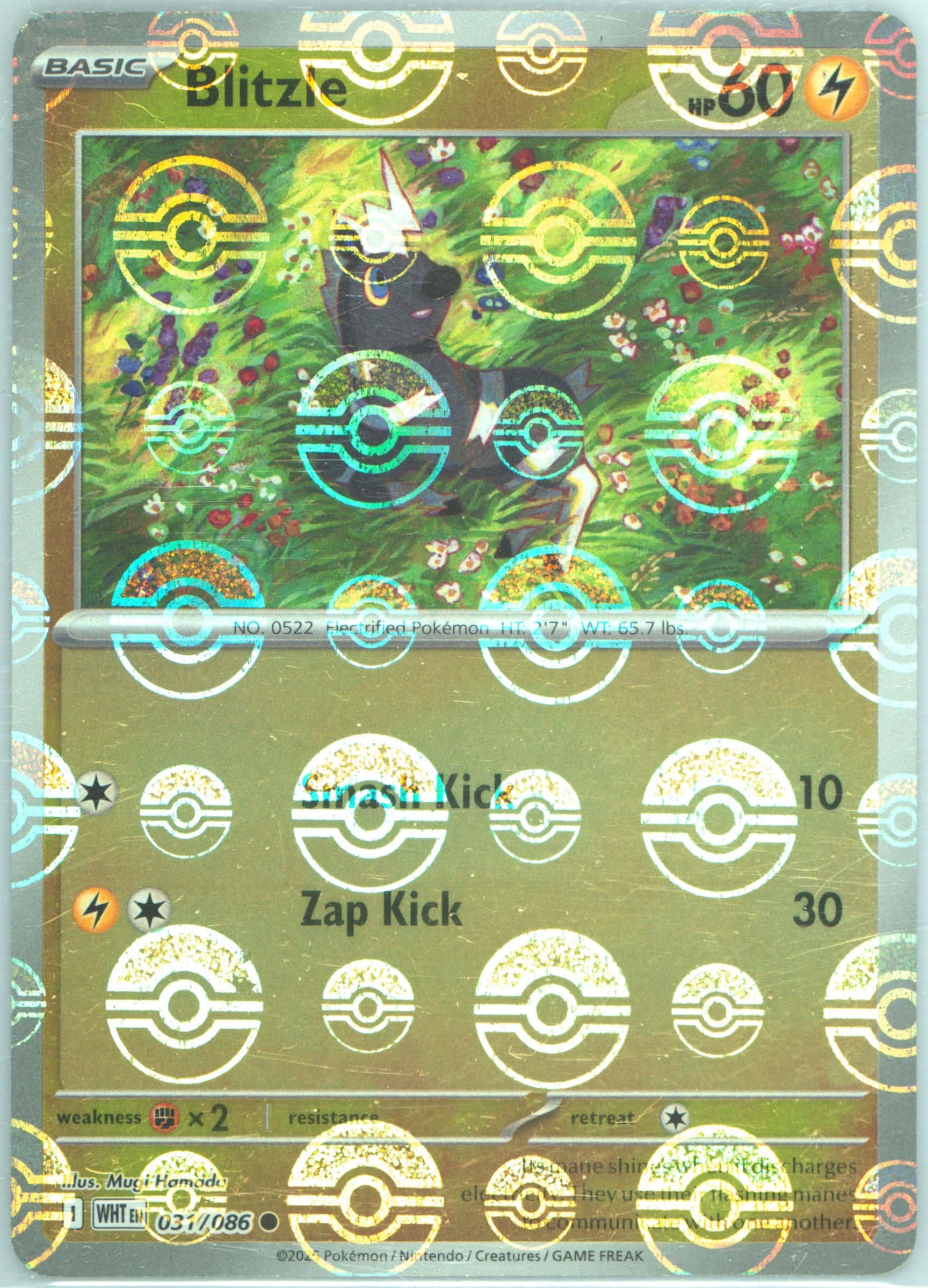 Blitzle (Poke Ball Pattern) 031/086 card from SV: White Flare