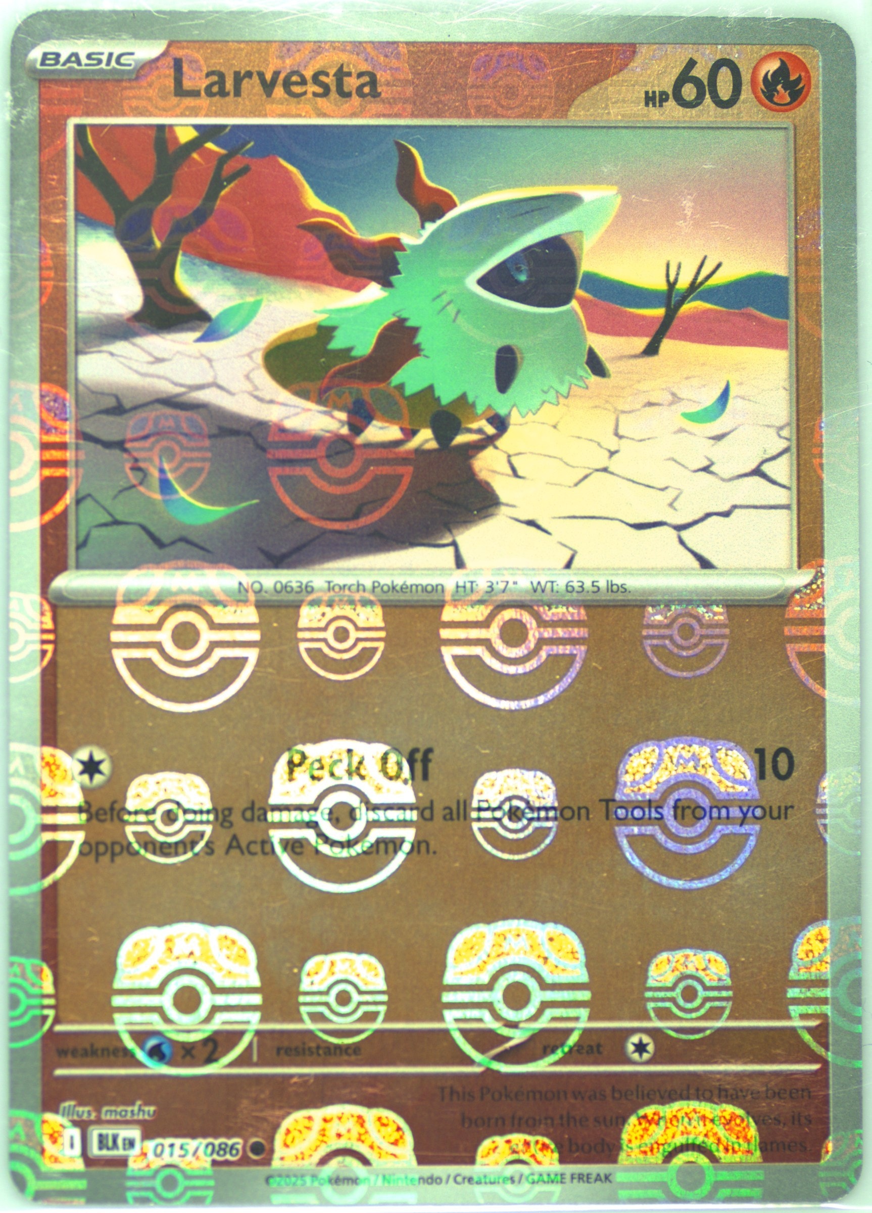 Larvesta (Master Ball Pattern) 015/086 card from SV: Black Bolt