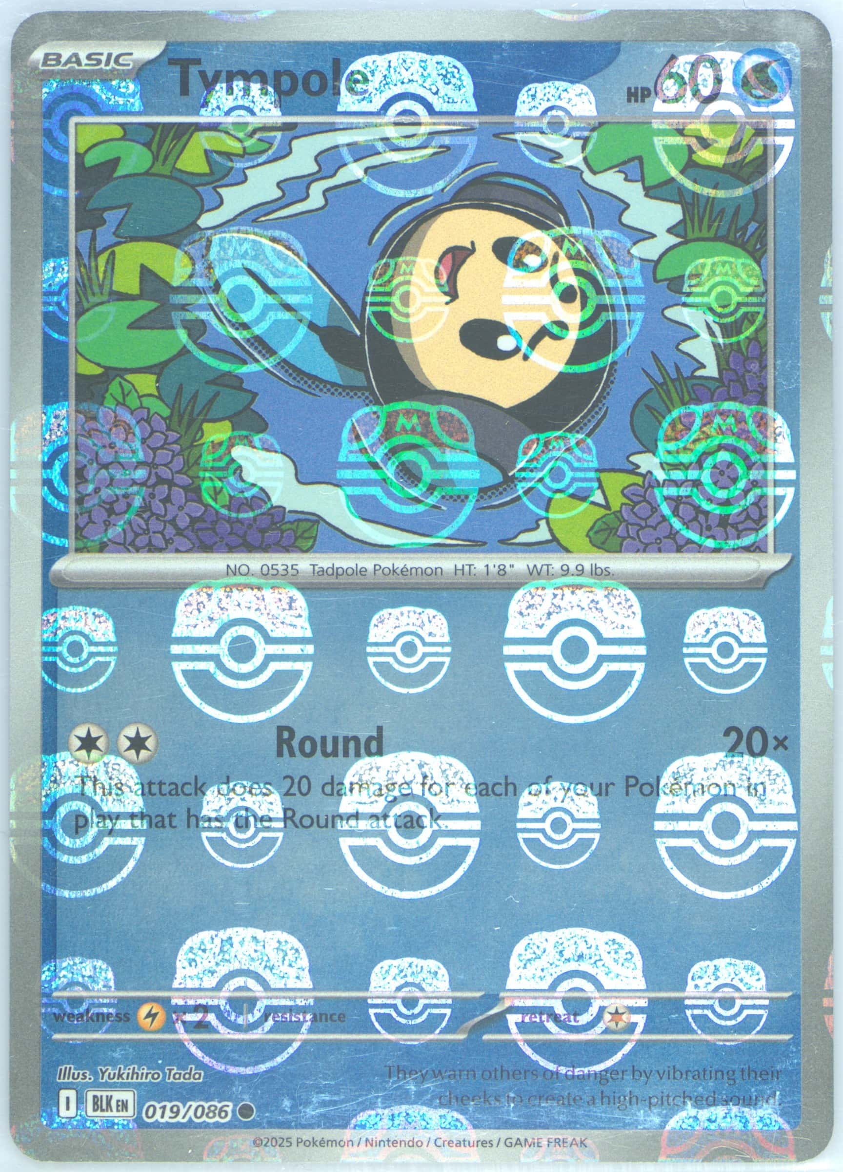 Tympole (Master Ball Pattern) 019/086 card from SV: Black Bolt