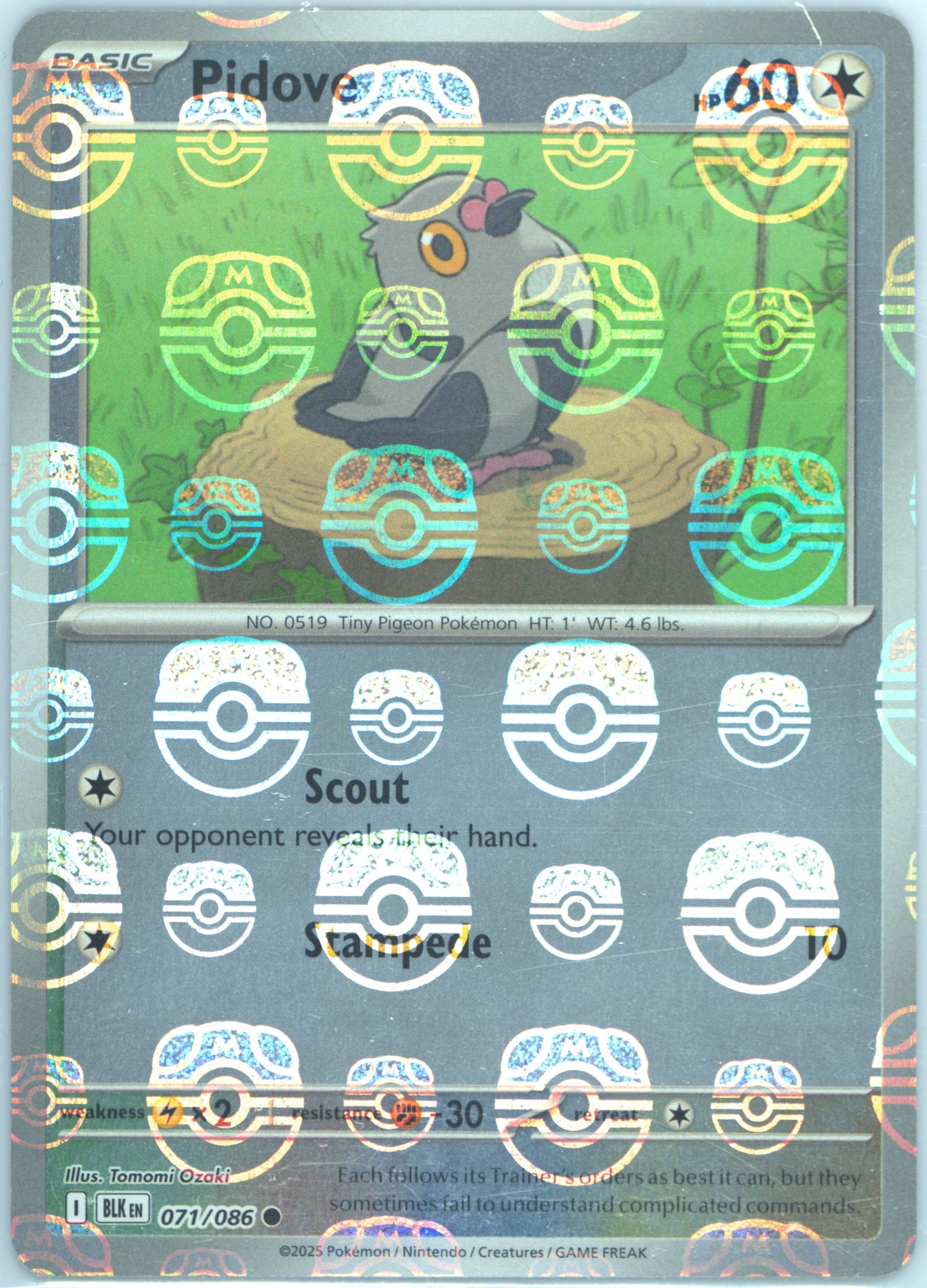 Pidove (Master Ball Pattern) 071/086 card from SV: Black Bolt