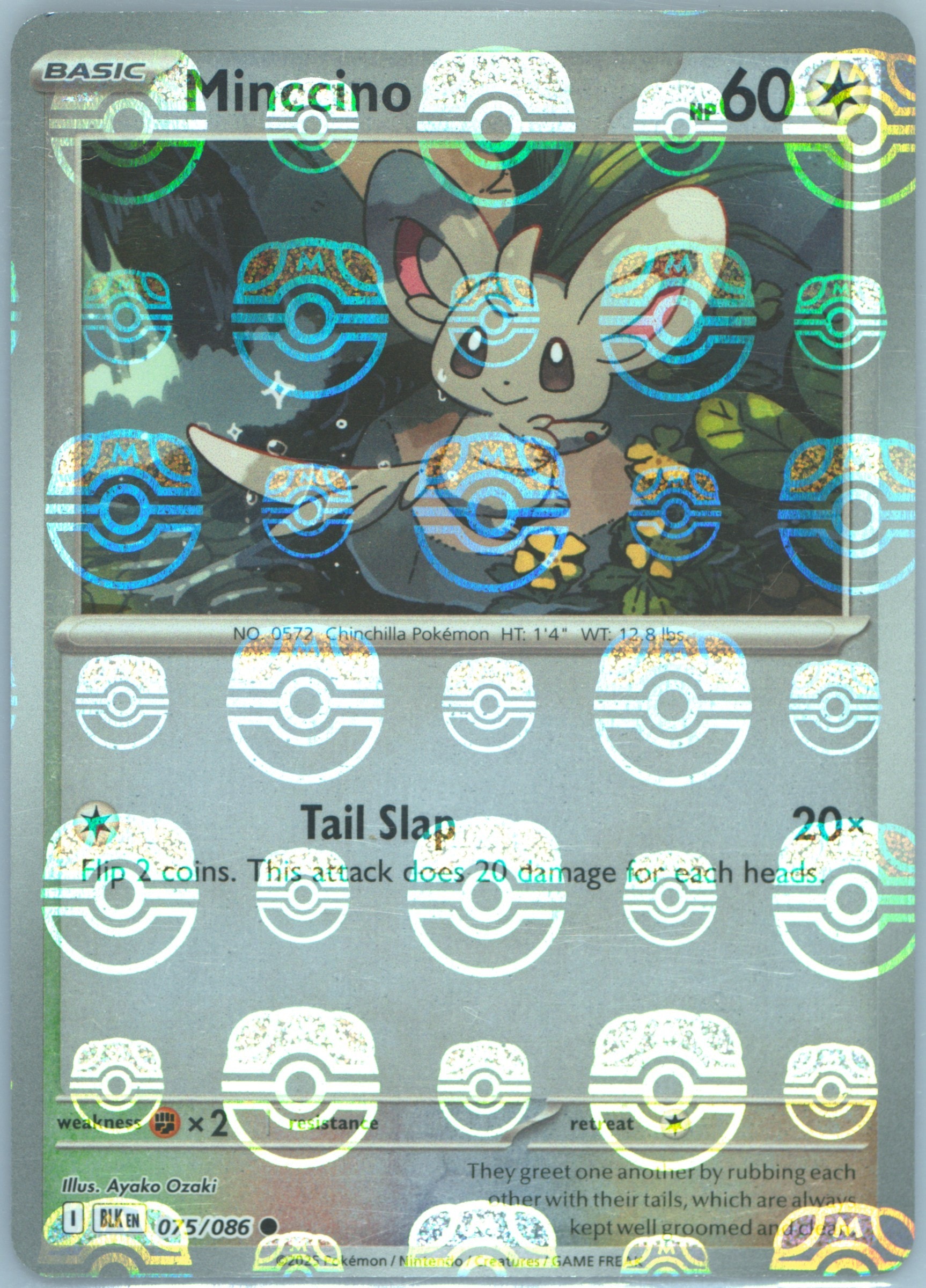 Minccino (Master Ball Pattern) 075/086 card from SV: Black Bolt