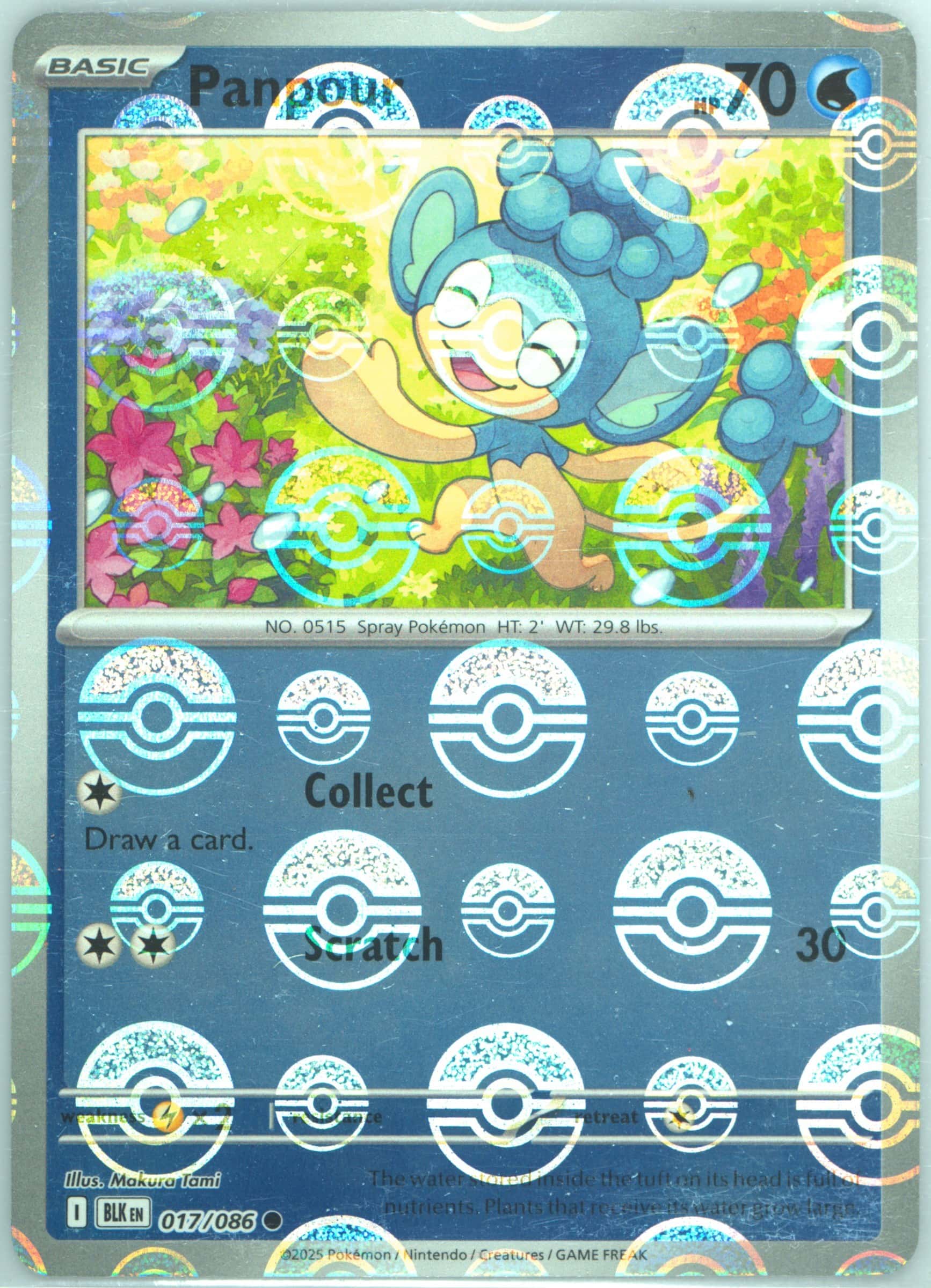 Panpour (Poke Ball Pattern) 017/086 card from SV: Black Bolt