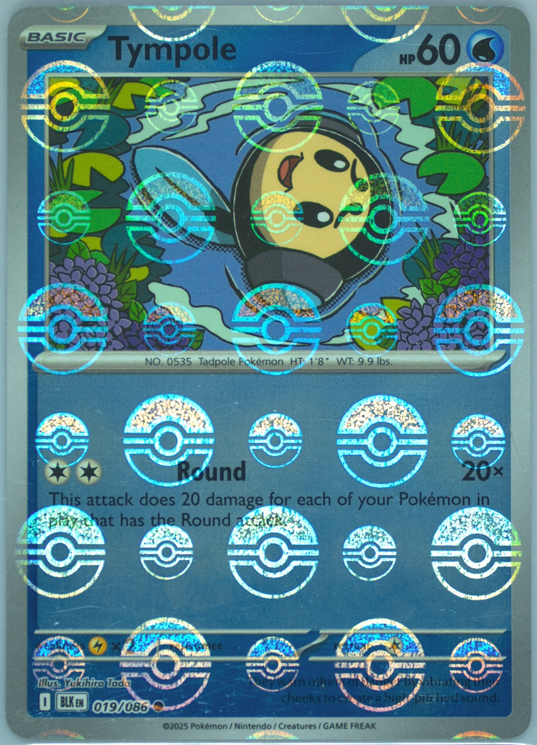 Tympole (Poke Ball Pattern) 019/086 card from SV: Black Bolt