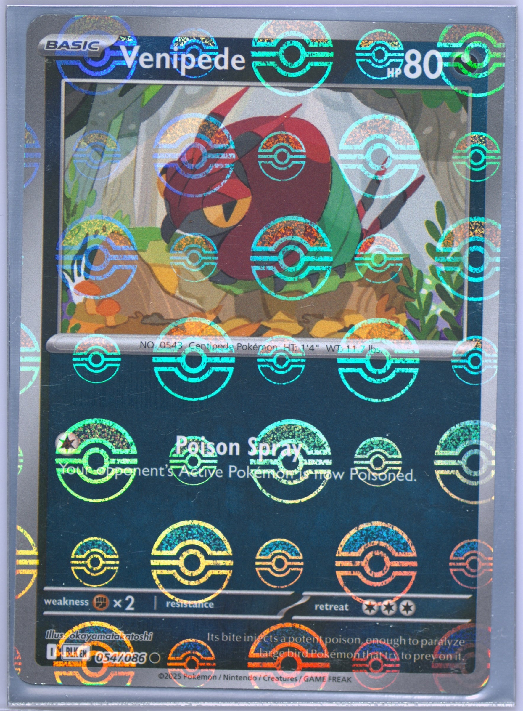 Venipede (Poke Ball Pattern) 054/086 card from SV: Black Bolt