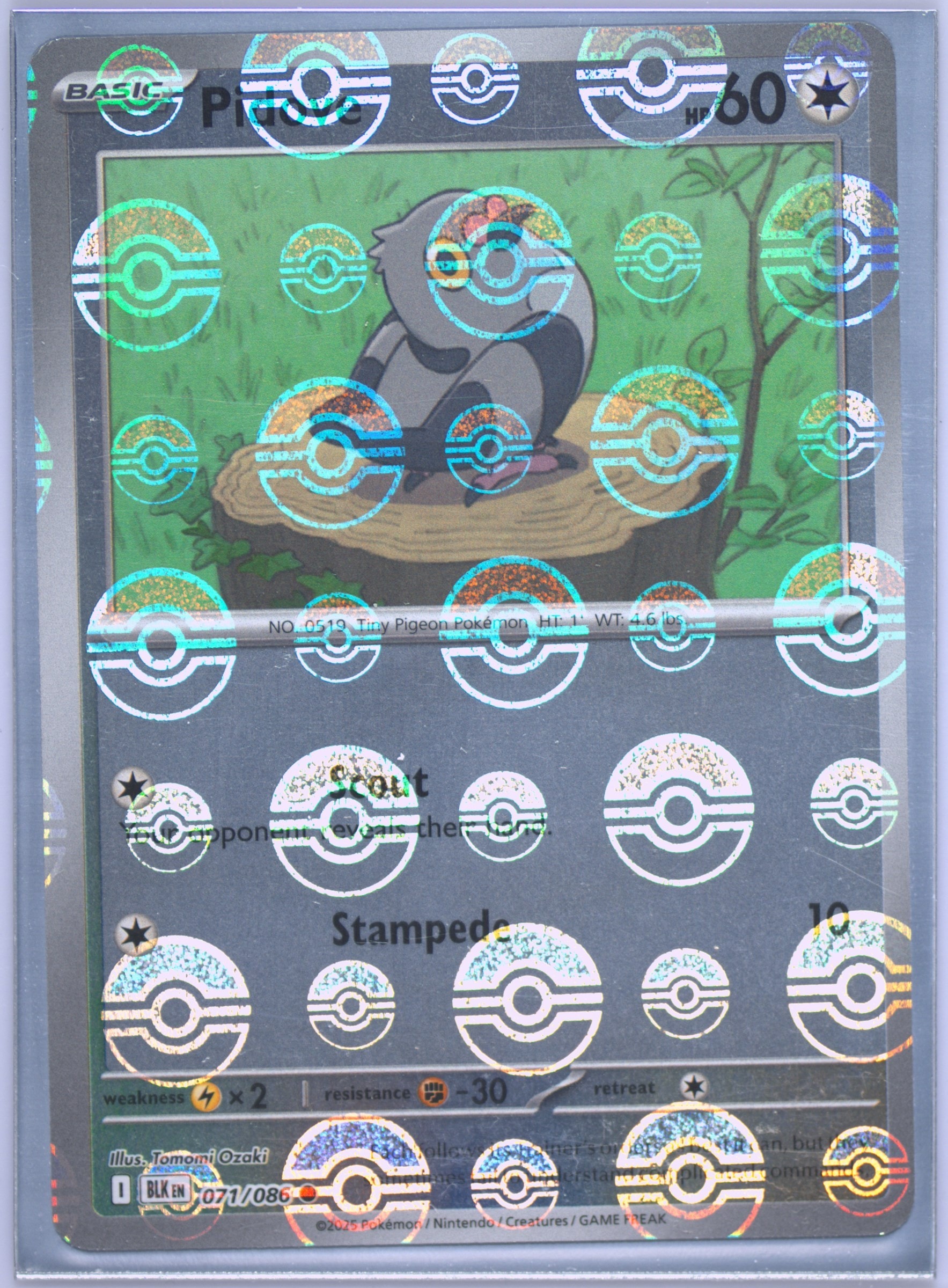 Pidove (Poke Ball Pattern) 071/086 card from SV: Black Bolt