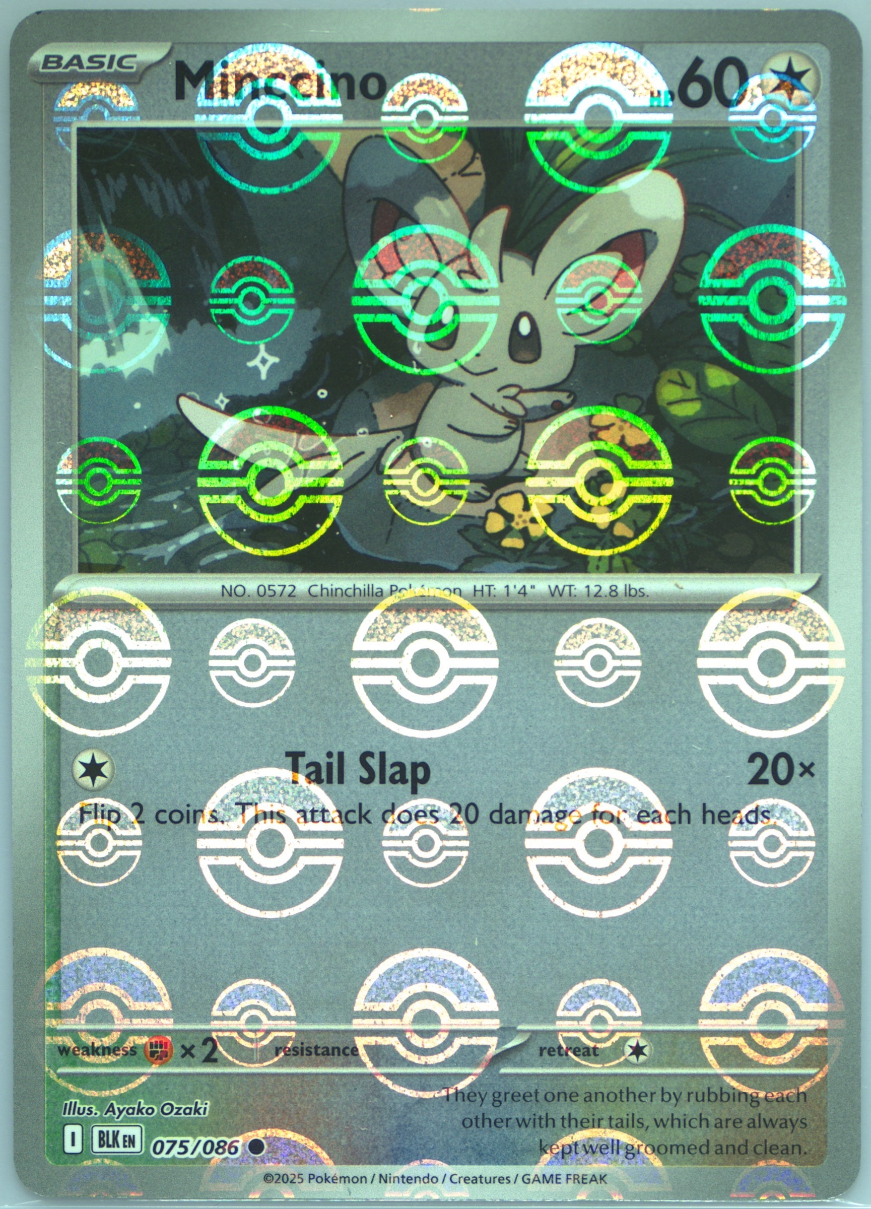 Minccino (Poke Ball Pattern) 075/086 card from SV: Black Bolt